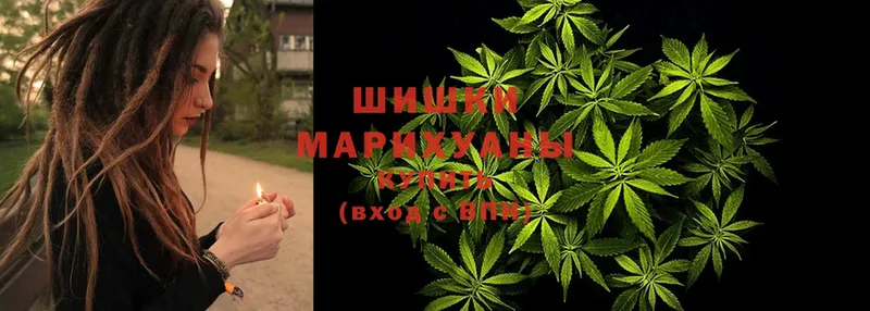 Бошки марихуана VHQ  Нюрба 